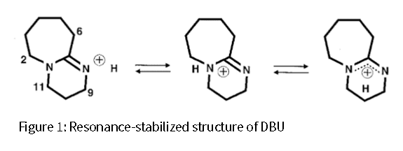 The expression of this basicity