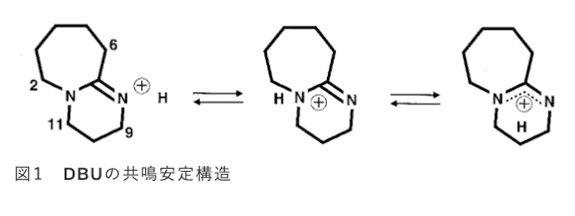 塩基性の発現