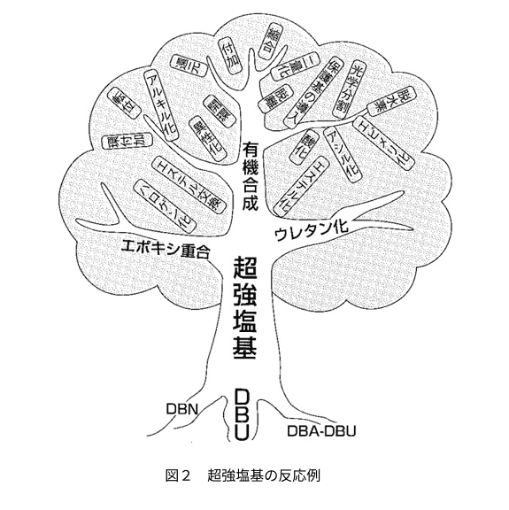 DBUの化学的性質